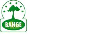 BANGE | Banco Nacional de Guinea Ecuatorial