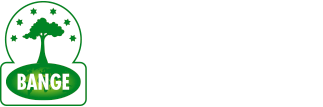 BANGE | Banco Nacional de Guinea Ecuatorial